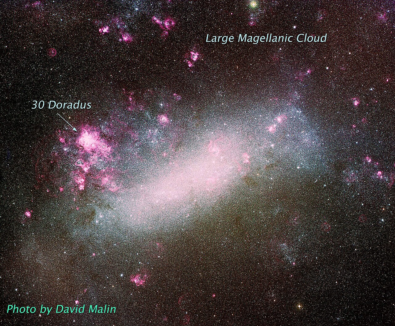LMC