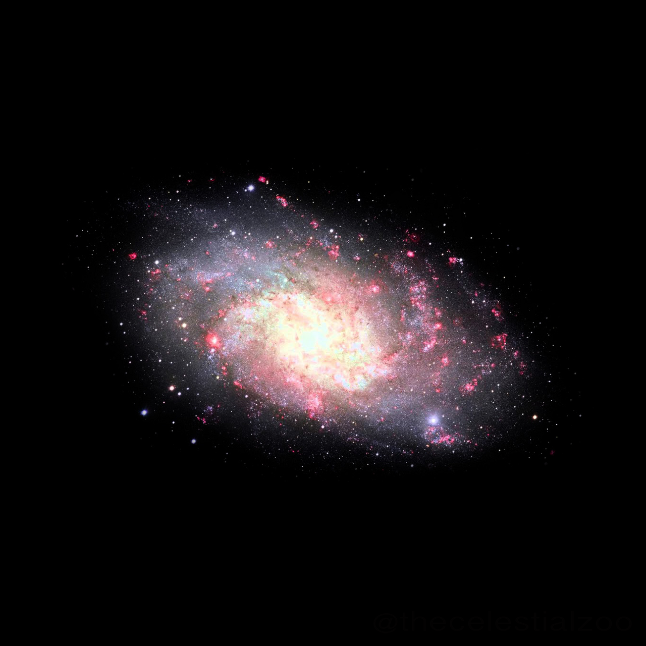 M33