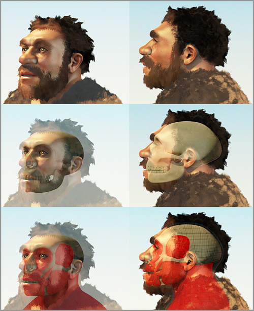 Neandertaler
