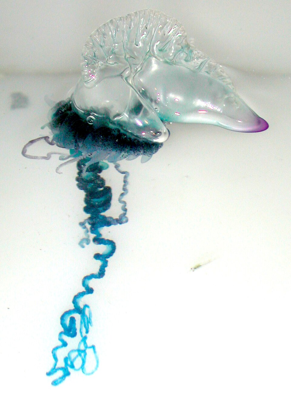 portugiesische Galere