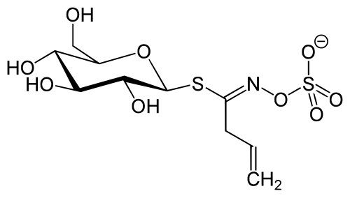 Sinigrin
