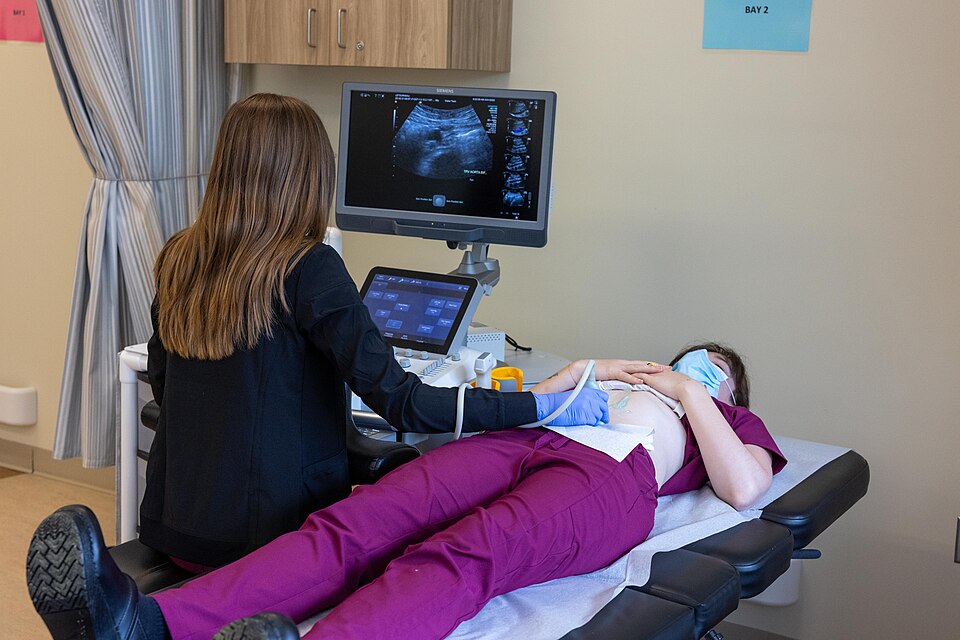 Gyn-Sonographie