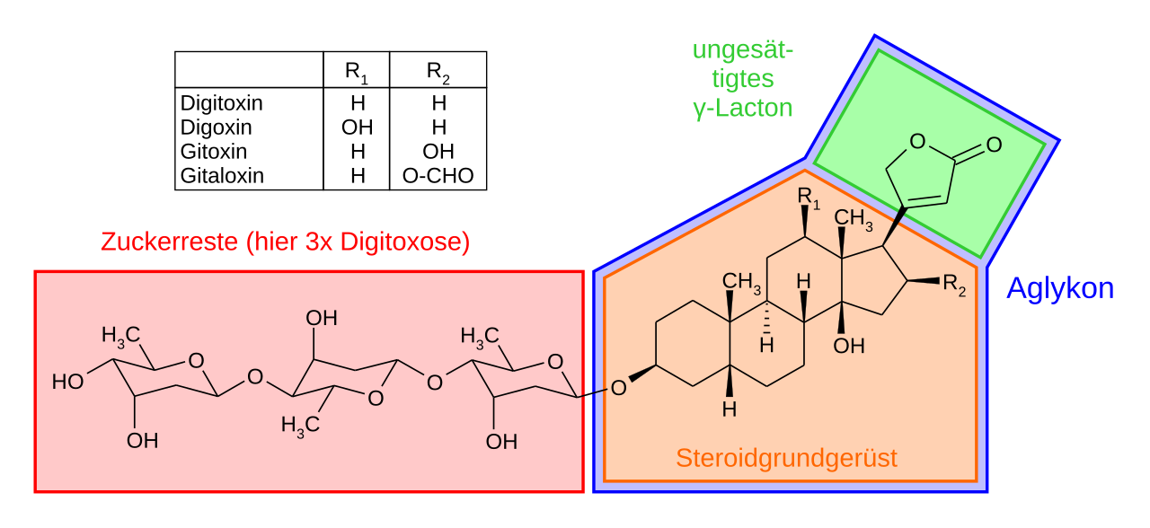 Digitalis