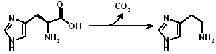 Histamin-Decarboxylase