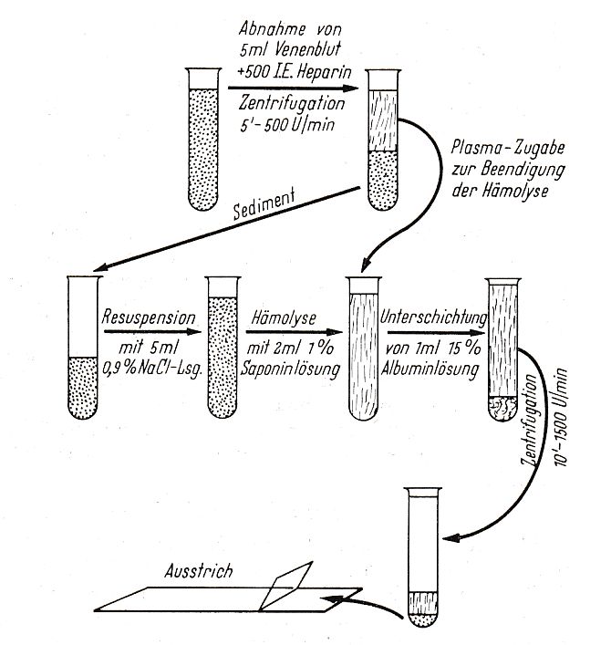 Saponin-Methode