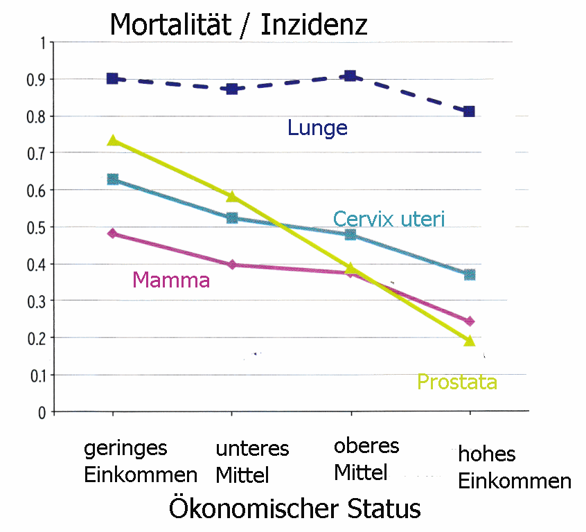 Mortalität und Kapital