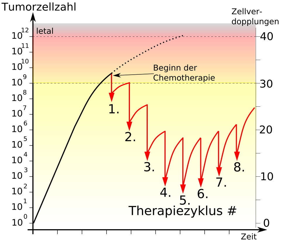 Zellreduktion durch Chemotherapie