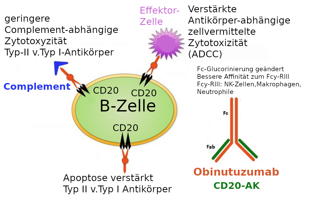 Obinotuzumab